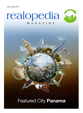 Realopedia Magazine Second Issue Preview